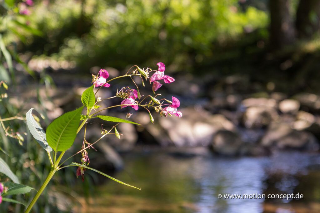 Naturpark Münden – Luftaufnahmen & Fotografie