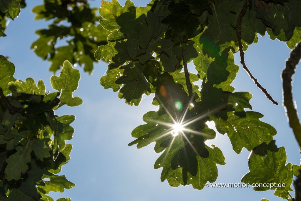 Naturpark Münden – Luftaufnahmen & Fotografie