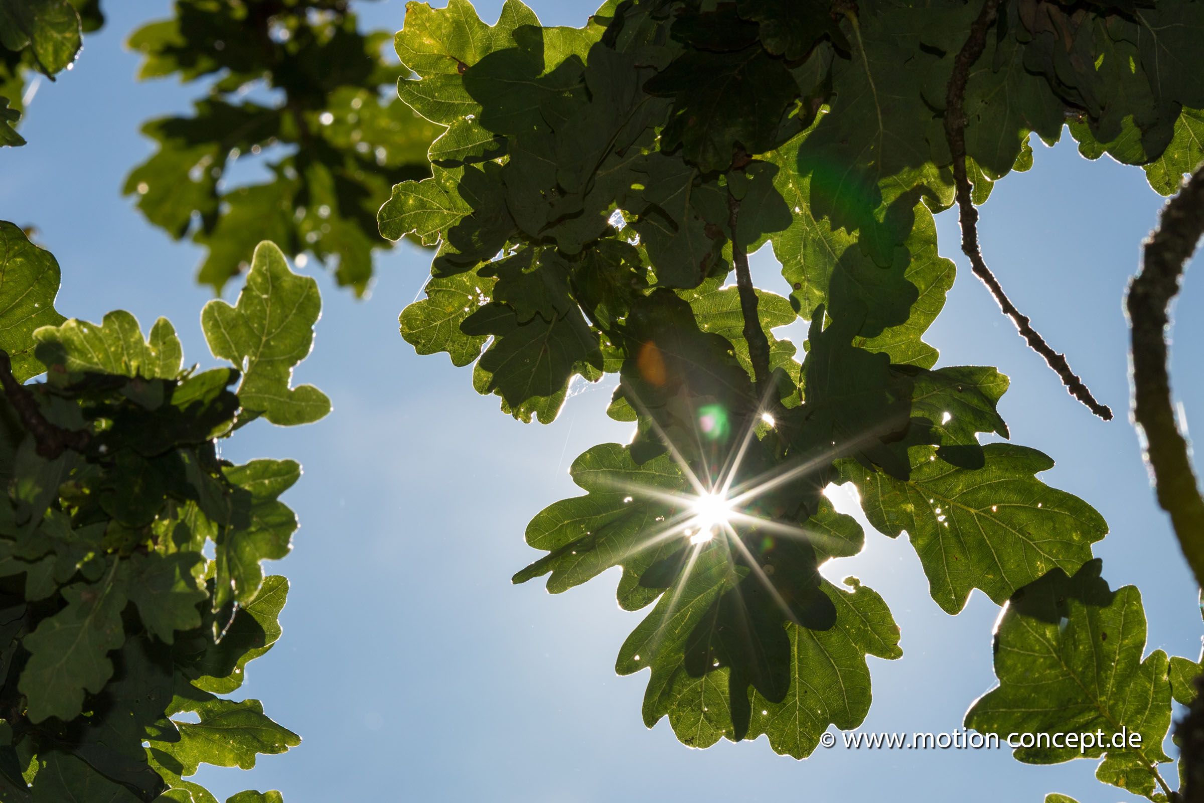 Naturpark Münden – Luftaufnahmen & Fotografie